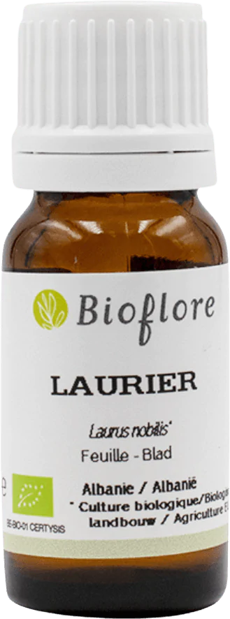 Edele Laurier Essentiële Olie BIO